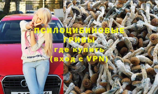 тгк Дмитров