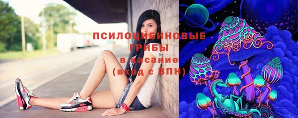 тгк Дмитров