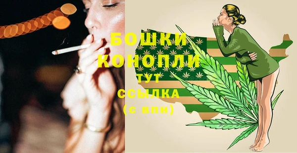 тгк Дмитров