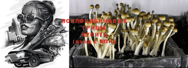 герыч Дмитровск