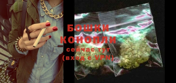 тгк Дмитров